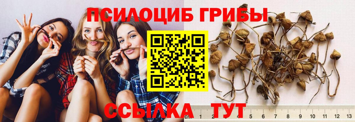 Галлюциногенные грибы мицелий Тутаев